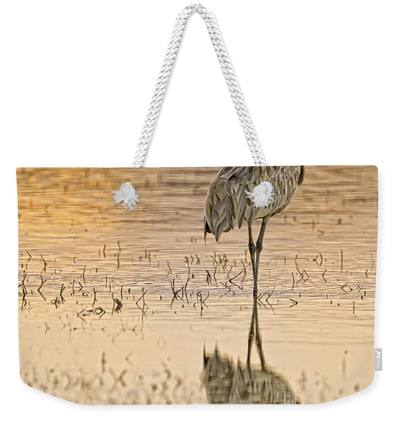 Sandhill Weekender Tote Bag featuring the photograph Sandhill Crane Strolling by Fred J Lord