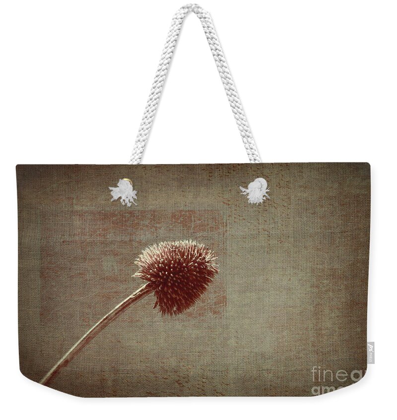 Plant Weekender Tote Bag featuring the photograph Sans Nom - s03p11t05 by Variance Collections