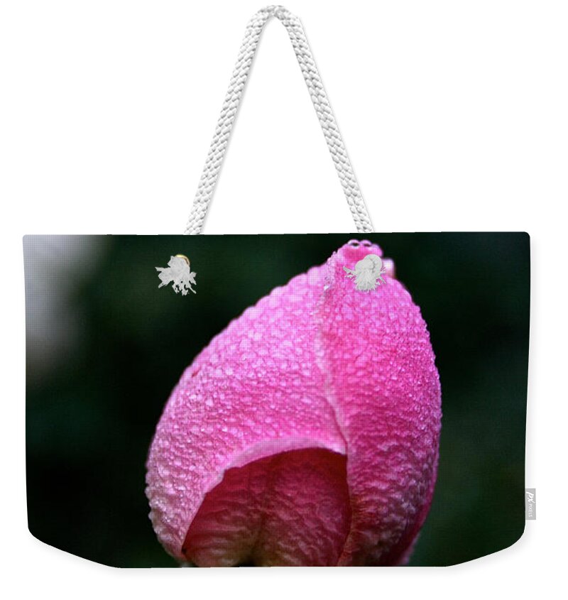 Flower Weekender Tote Bag featuring the photograph Satin Rosebud by Susan Herber
