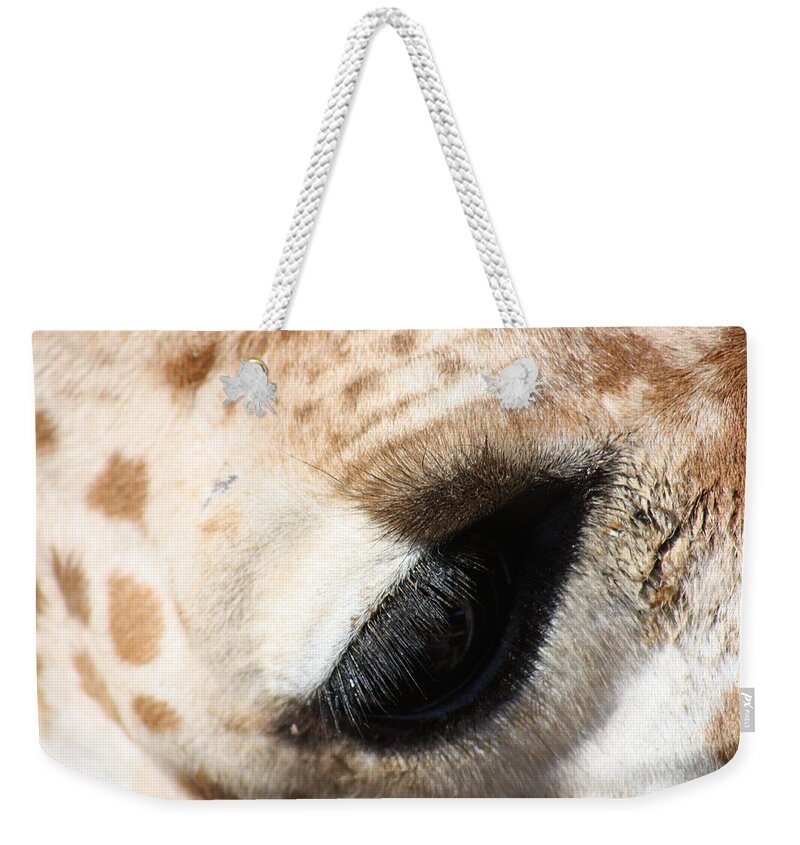 Eye Weekender Tote Bag featuring the photograph Says So Much by Kim Galluzzo Wozniak