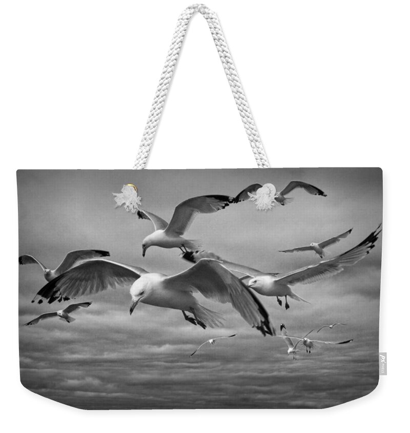 Sea Weekender Tote Bag featuring the photograph Sea Gull Scavengers by Randall Nyhof
