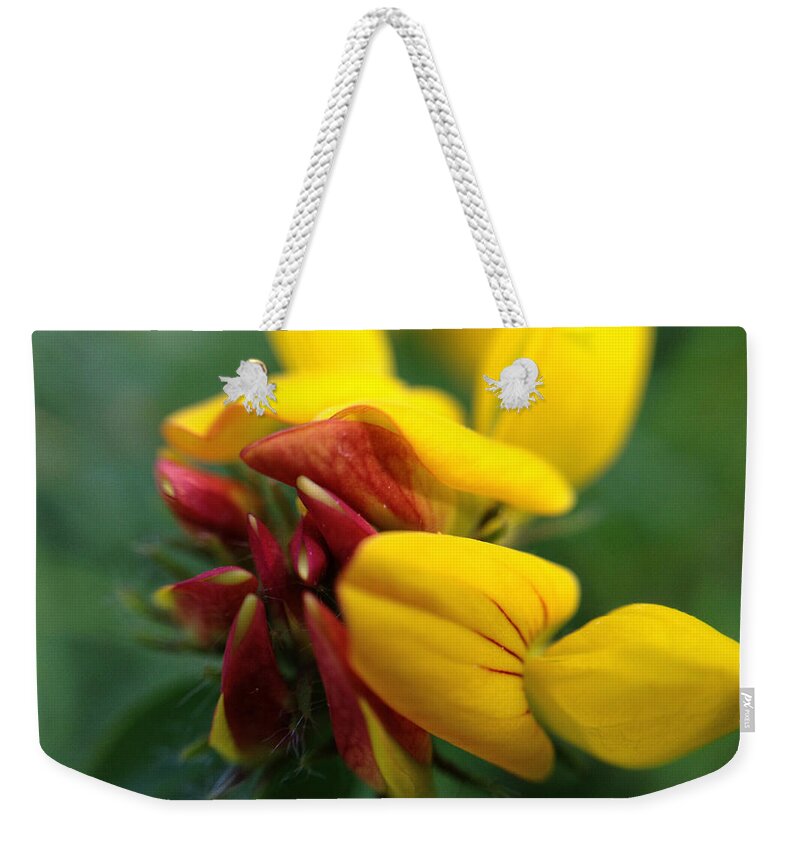 Macro Weekender Tote Bag featuring the photograph Scotch Broom by Chriss Pagani
