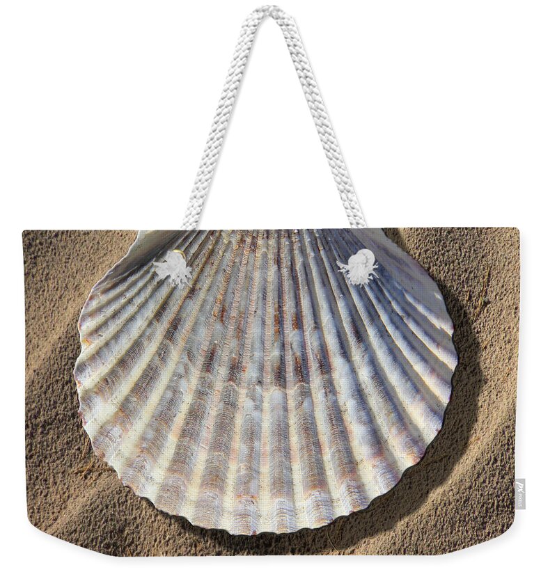 Sea Shell Weekender Tote Bag featuring the photograph Sea Shell 2 by Mike McGlothlen