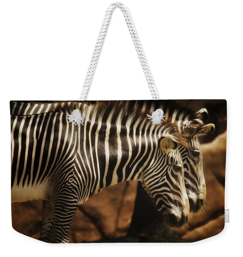 Saint Louis Weekender Tote Bag featuring the photograph Seeing Double by Linda Tiepelman