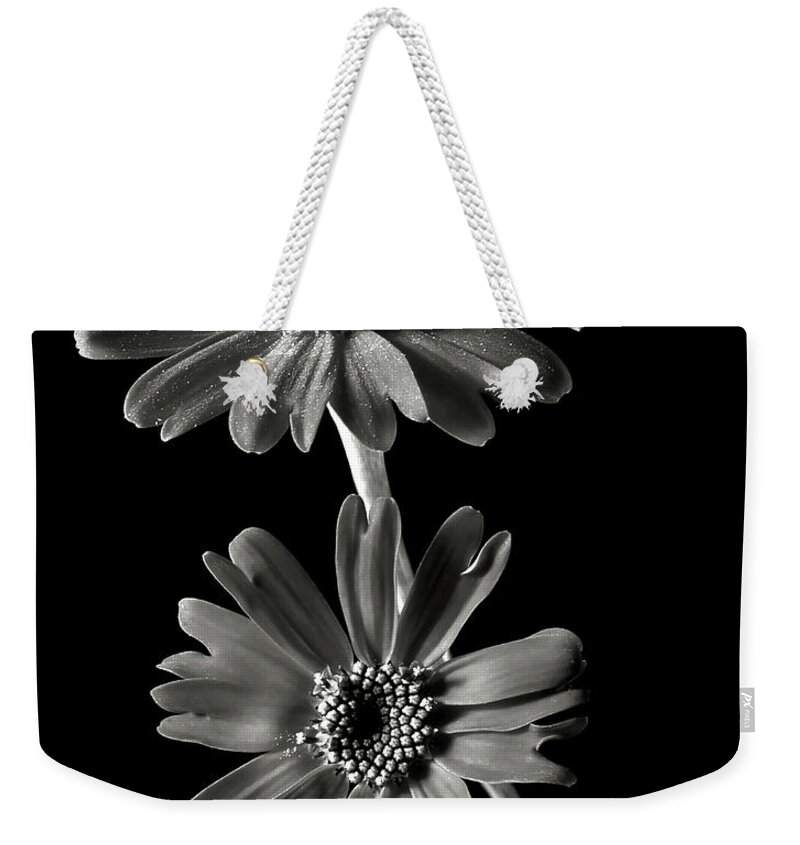 Flower Weekender Tote Bag featuring the photograph Senecio Stellata in Black and White by Endre Balogh