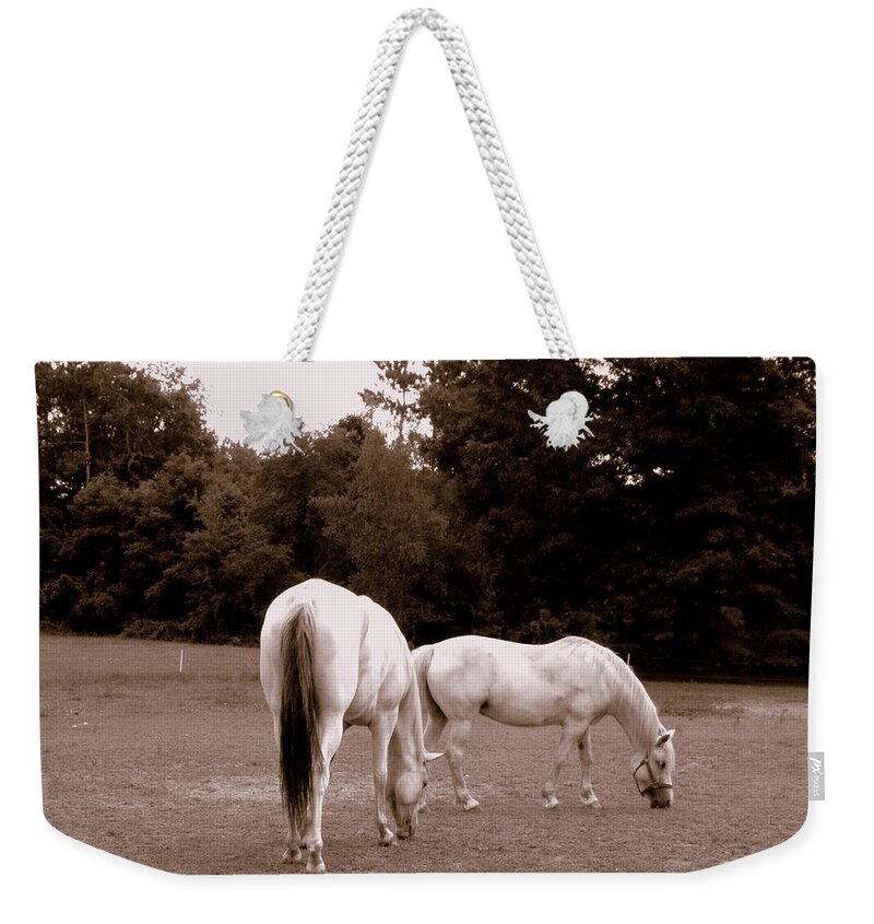 Sepia Photography Weekender Tote Bag featuring the photograph Sepia Beauties by Kim Galluzzo