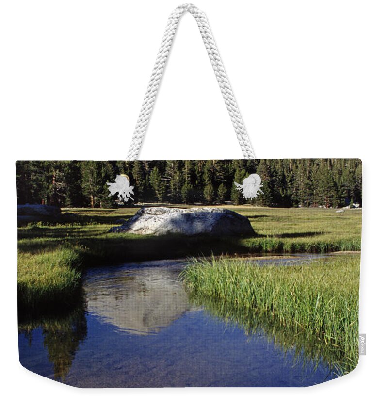 Craig Lovell Weekender Tote Bag featuring the photograph Sequoia-np-7-4 by Craig Lovell