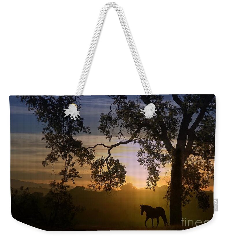 Horse And Oak Tree Weekender Tote Bag featuring the photograph Horse and Oak Tree in Golden Sunset by Stephanie Laird
