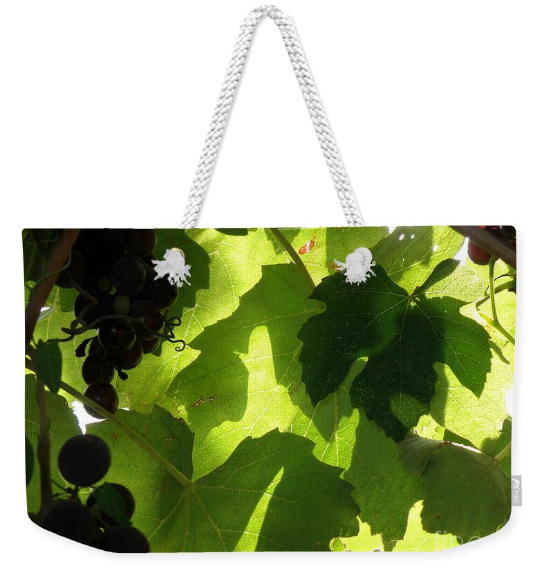 Grapes Weekender Tote Bag featuring the photograph Shadow Dancing Grapes by Lainie Wrightson