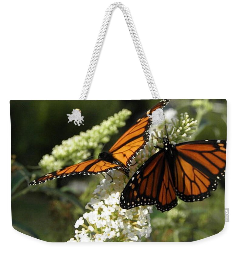 Monarch Weekender Tote Bag featuring the photograph Sharing by Kim Galluzzo