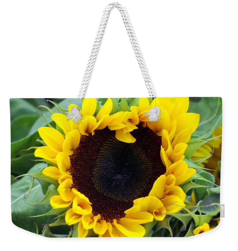 Sunflower Weekender Tote Bag featuring the photograph Sharing the Love by Linda Mishler