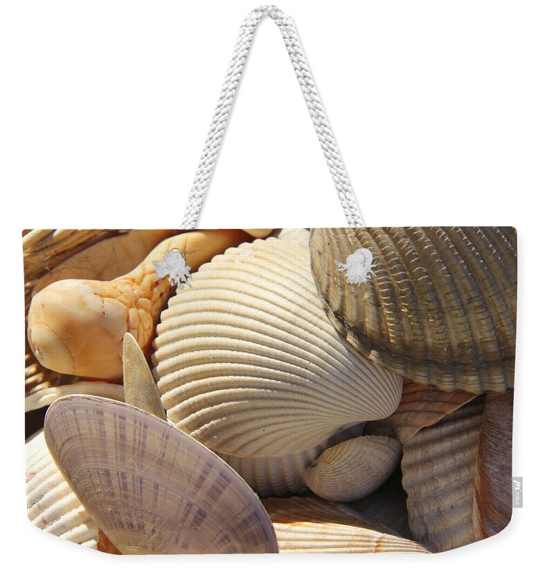 Sea Shells Weekender Tote Bag featuring the photograph Shells 1 by Mike McGlothlen