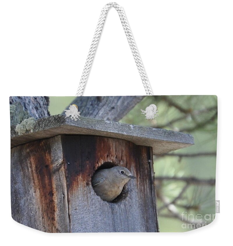 Bird Weekender Tote Bag featuring the photograph She's Home by Dorrene BrownButterfield