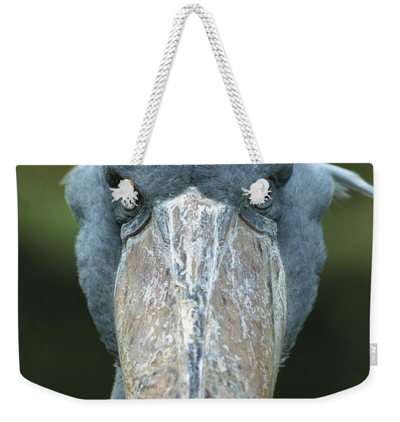 Mp Weekender Tote Bag featuring the photograph Shoebill Balaeniceps Rex Portrait by Konrad Wothe