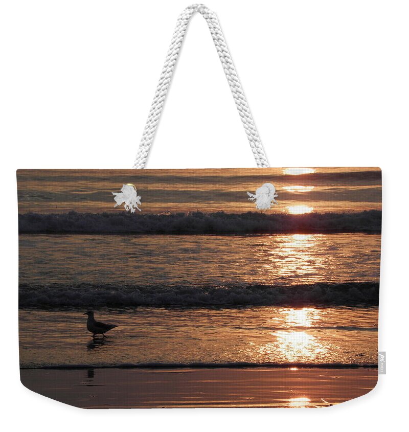 Sunrise Weekender Tote Bag featuring the photograph Shoreline Reflections by Kim Galluzzo