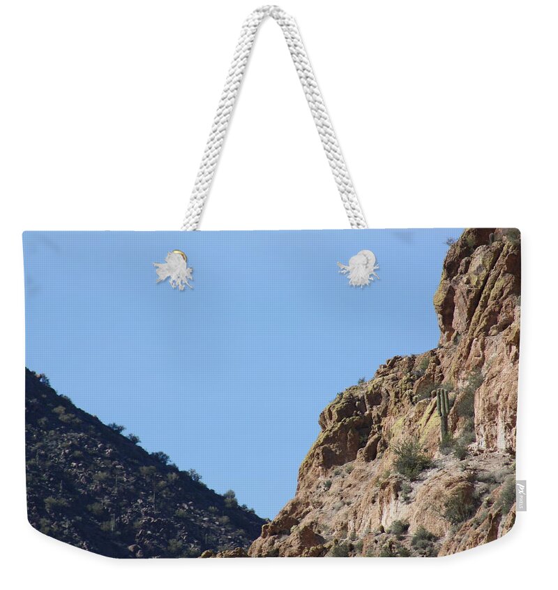 Sagouro Weekender Tote Bag featuring the photograph Side by Side but different by Kim Galluzzo Wozniak