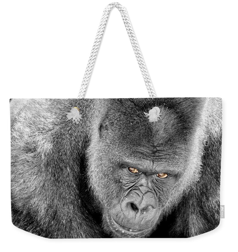 Ape Weekender Tote Bag featuring the photograph Silverback Staredown by Jason Politte