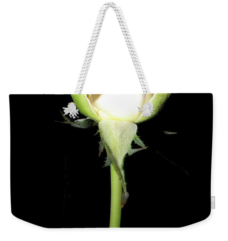 Rose Weekender Tote Bag featuring the photograph Simplicity by Kim Galluzzo