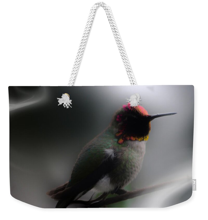 Humming Bird Weekender Tote Bag featuring the digital art Sir Dancelot by Holly Ethan