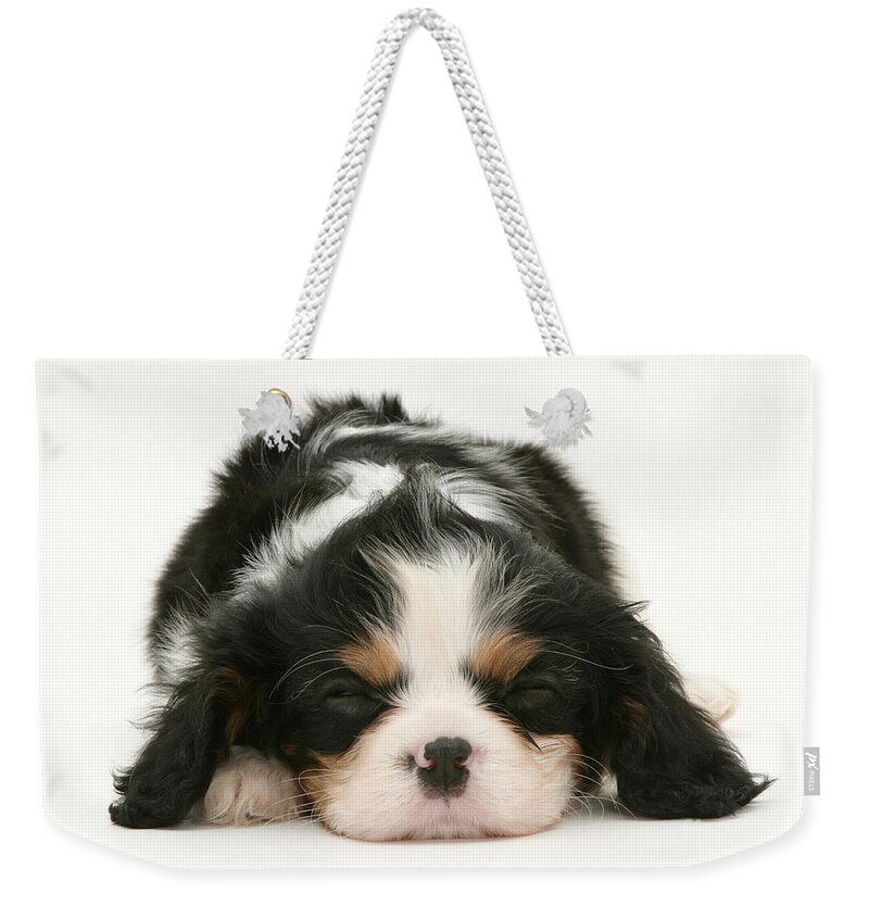 Animal Weekender Tote Bag featuring the photograph Sleeping Puppy by Jane Burton