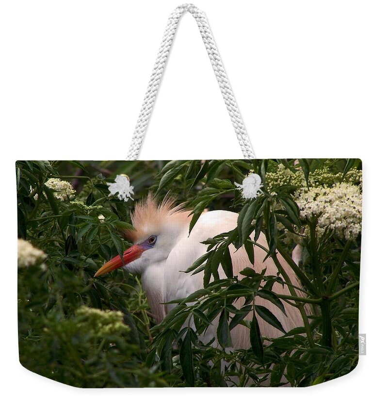 Nature Weekender Tote Bag featuring the photograph Sleepy Egret in Elderberry by Peggy Urban