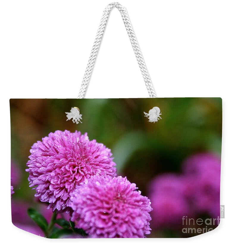 Flower Weekender Tote Bag featuring the photograph Small Wonder Mum by Susan Herber
