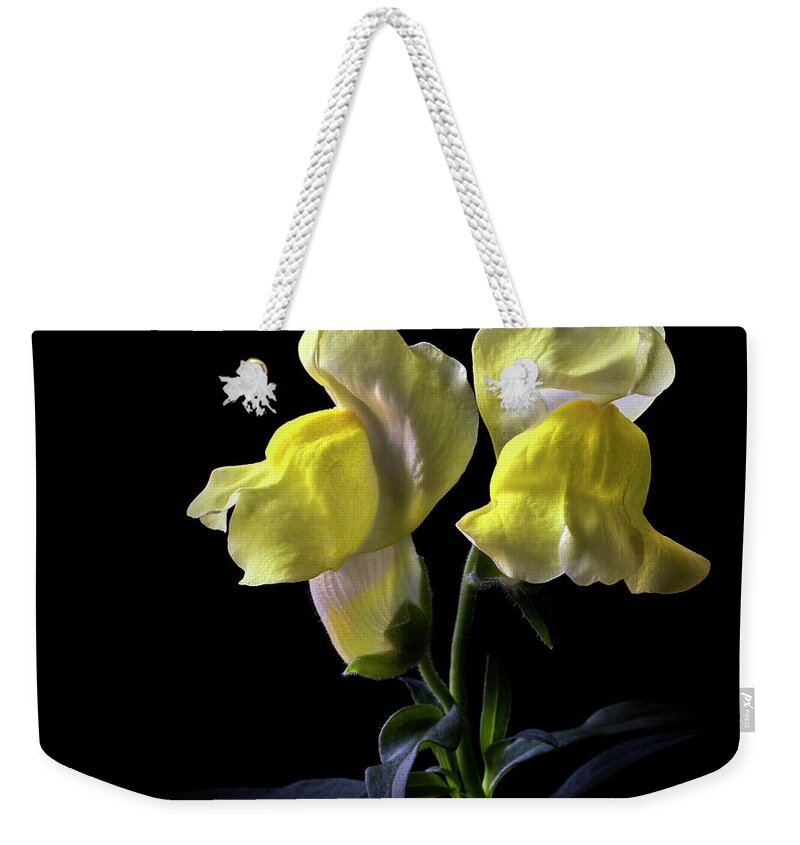 Flower Weekender Tote Bag featuring the photograph Snapdragons by Endre Balogh