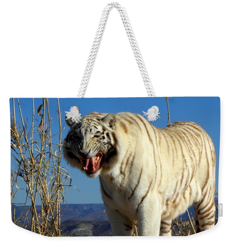 White Weekender Tote Bag featuring the photograph Snarl by Kim Galluzzo Wozniak