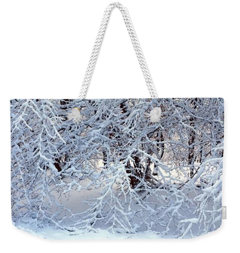 Nature Weekender Tote Bag featuring the photograph Snow covered branches by Ulrich Kunst And Bettina Scheidulin