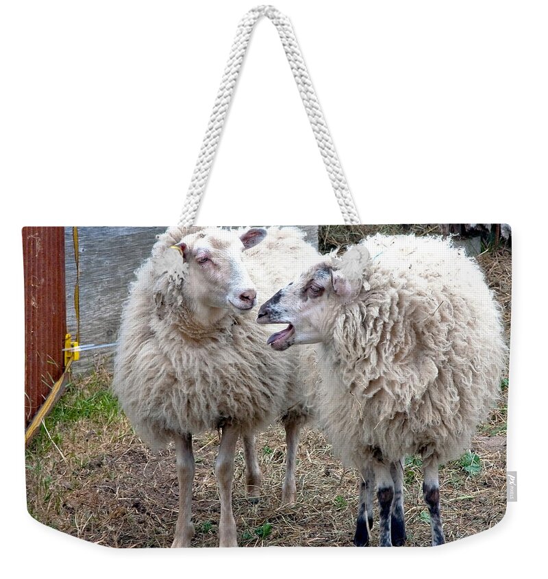 Sheep Weekender Tote Bag featuring the photograph So I Said by Burney Lieberman