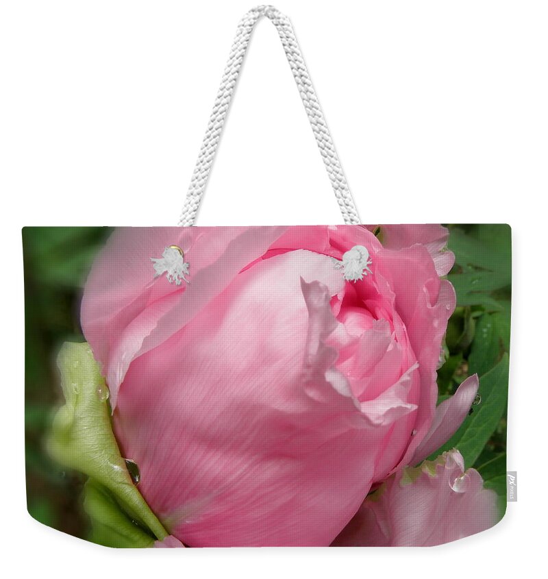 Pink Weekender Tote Bag featuring the photograph Soft Beauty by Kim Galluzzo
