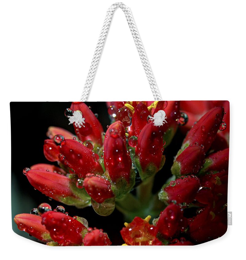 Macro Weekender Tote Bag featuring the photograph Spheres of Influence by Joe Schofield