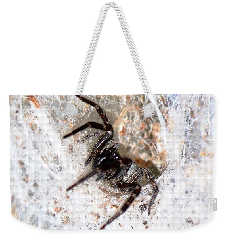 Web Weekender Tote Bag featuring the photograph Spiders Trap by Chriss Pagani