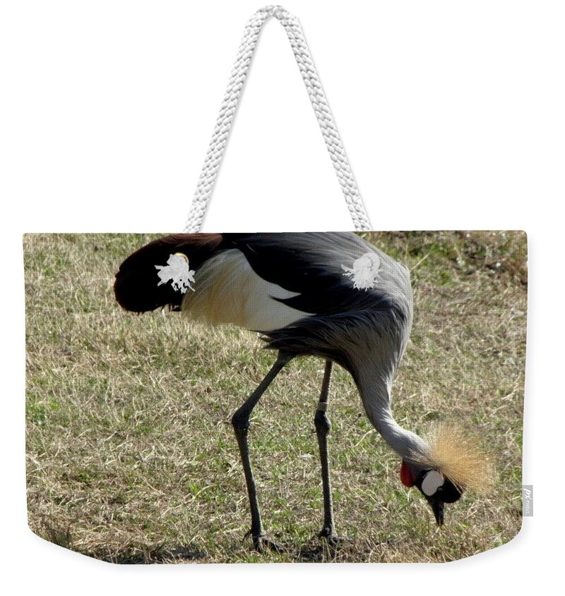 Crane Weekender Tote Bag featuring the photograph Spike by Kim Galluzzo