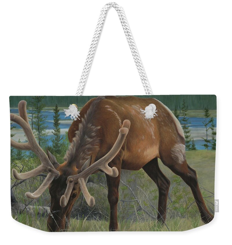 Elk Weekender Tote Bag featuring the painting Spring Gazing by Tammy Taylor