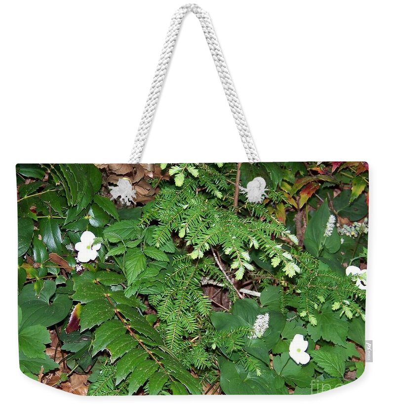 Mt Rainier Weekender Tote Bag featuring the photograph Spring Ground Cover by Charles Robinson