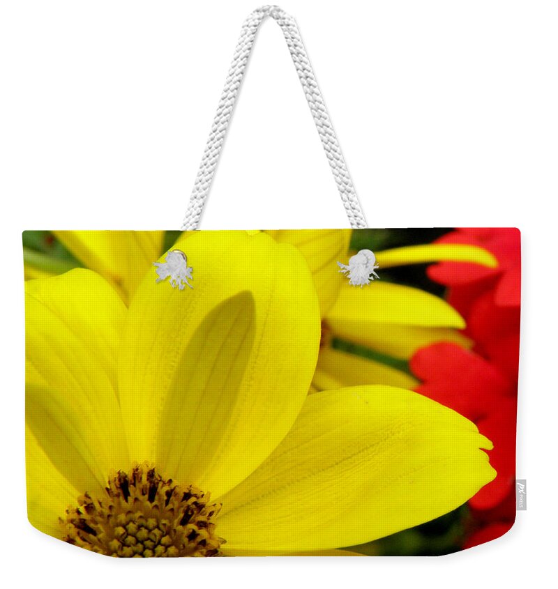 Yellow Flower Weekender Tote Bag featuring the photograph Spring Has Sprung by Kim Galluzzo Wozniak