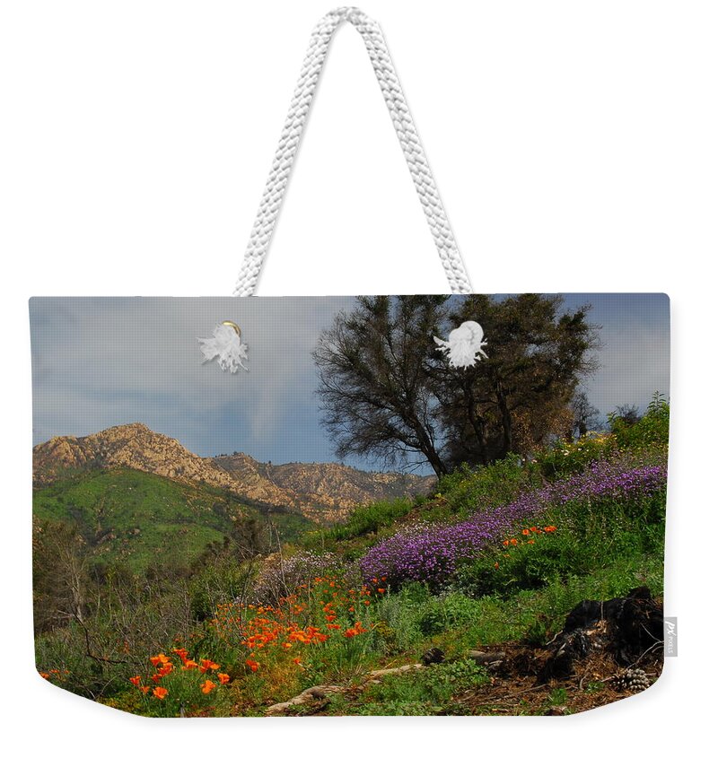 Spring Weekender Tote Bag featuring the photograph Spring in Santa Barbara by Lynn Bauer