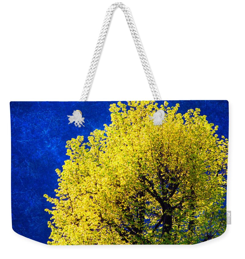 Nature Weekender Tote Bag featuring the photograph Spring tree by Silvia Ganora
