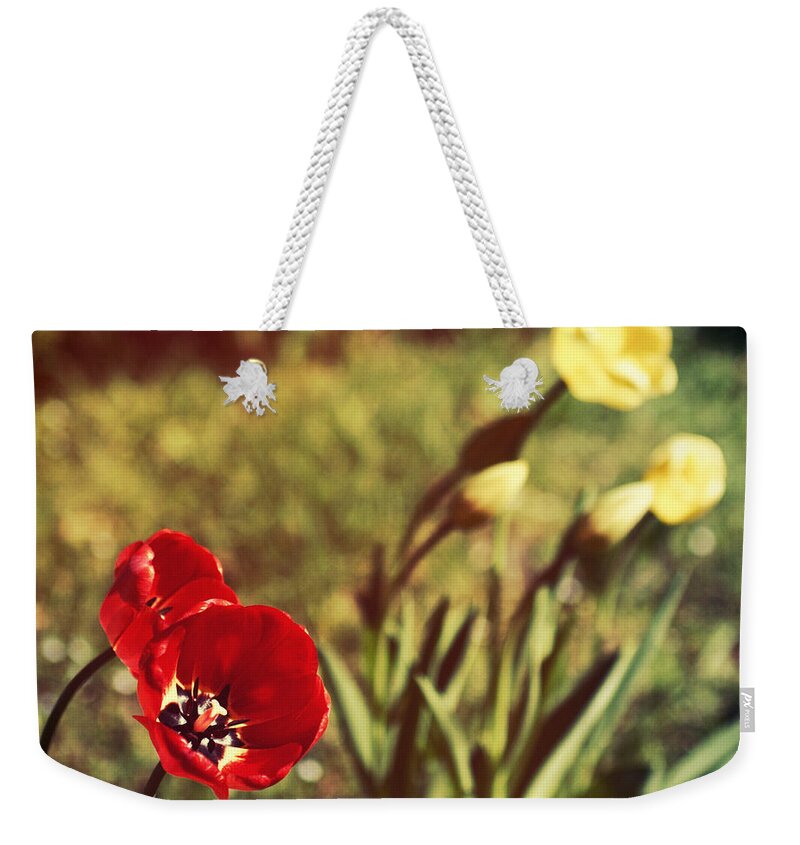 Tulips Weekender Tote Bag featuring the photograph Spring tulips by Silvia Ganora
