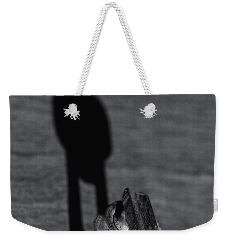 Shadow Weekender Tote Bag featuring the photograph Stand by Sue Capuano