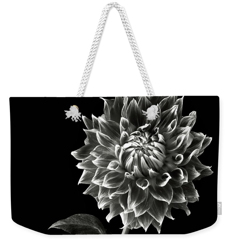 Flower Weekender Tote Bag featuring the photograph Starburst Dahlia in Black and White by Endre Balogh