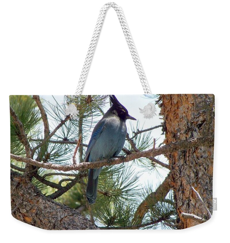 Birds Weekender Tote Bag featuring the photograph Stellar's Jay by Dorrene BrownButterfield