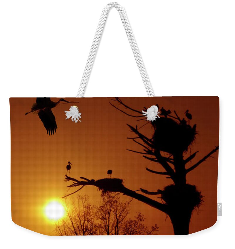 Stork Weekender Tote Bag featuring the photograph Storks by Carlos Caetano