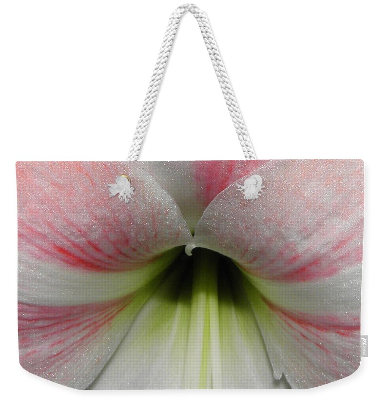 Pink Weekender Tote Bag featuring the photograph Streaks Of Pink by Kim Galluzzo Wozniak