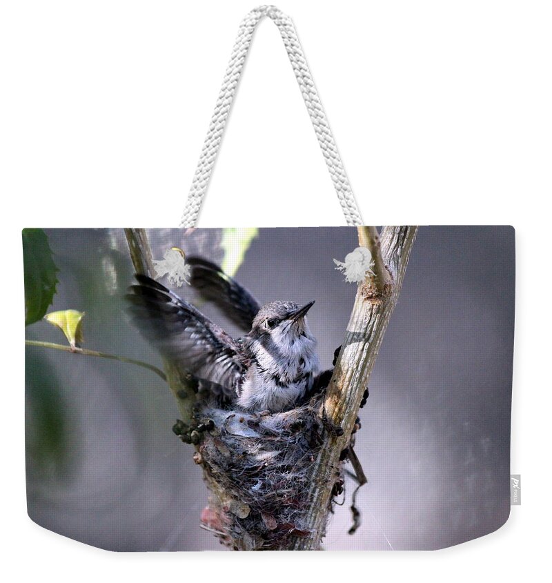 Birds Weekender Tote Bag featuring the photograph Stretching My Wings by Jo Sheehan