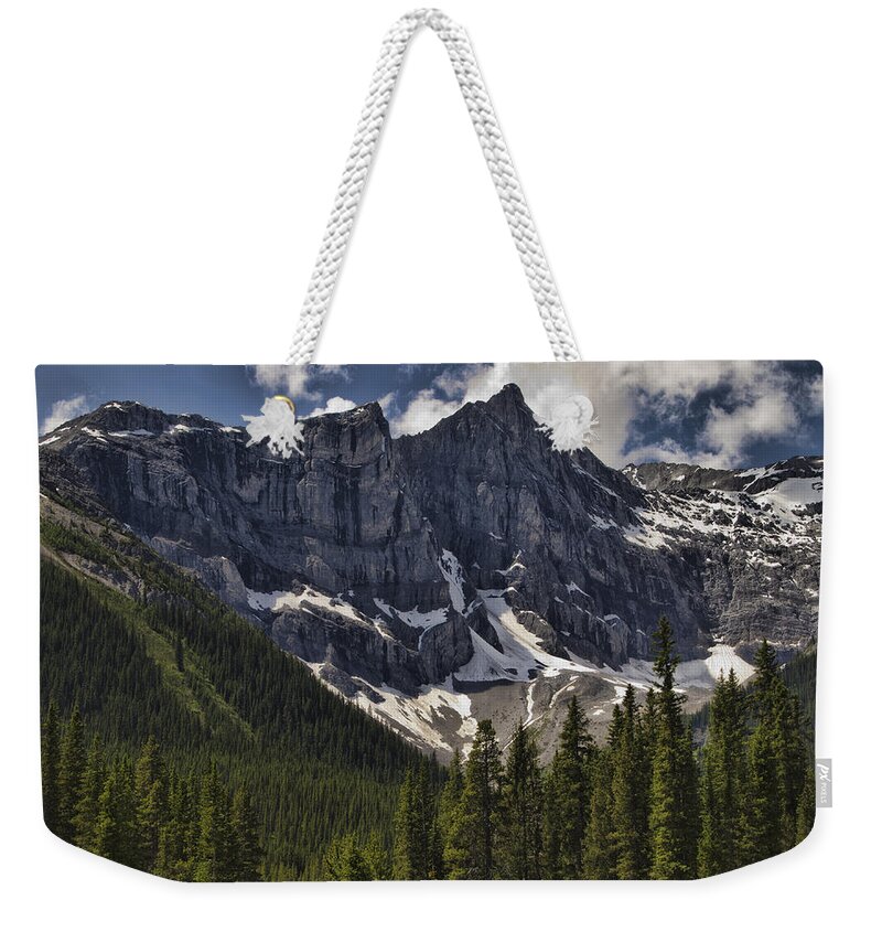 Mountains Weekender Tote Bag featuring the photograph Summer Snow by Jo-Anne Gazo-McKim