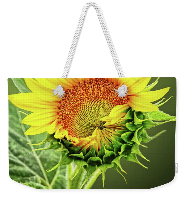 Sunflower Weekender Tote Bag featuring the photograph Sunbathing Sunflower by Peg Runyan