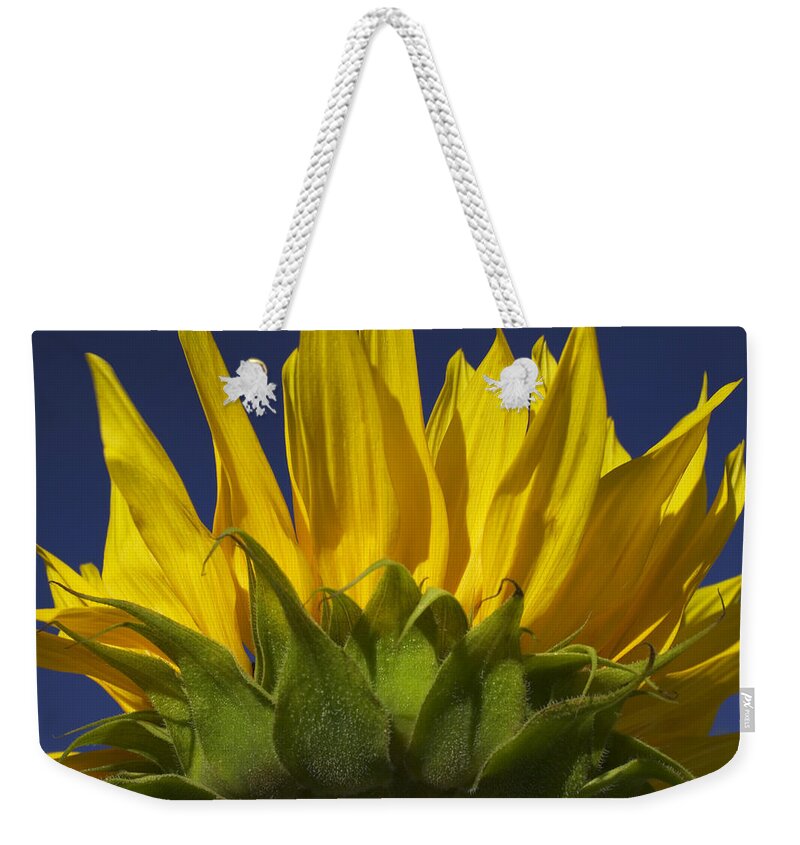 Sunflower Weekender Tote Bag featuring the photograph Sunflower by Garry Gay