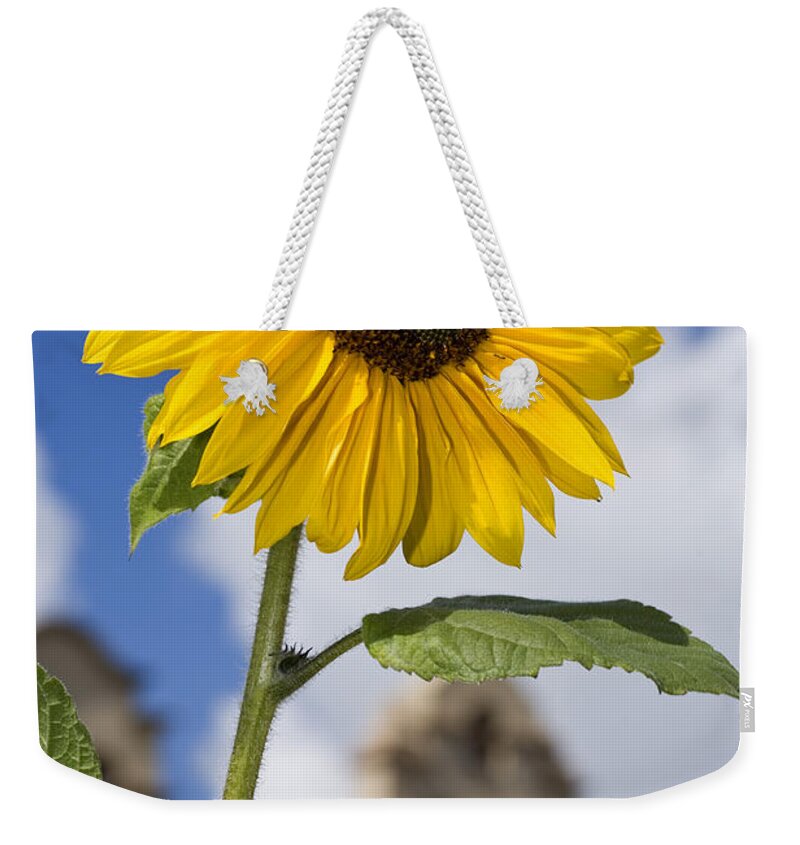 Sunflower Weekender Tote Bag featuring the photograph Sunflower in Balboa Park by Daniel Knighton